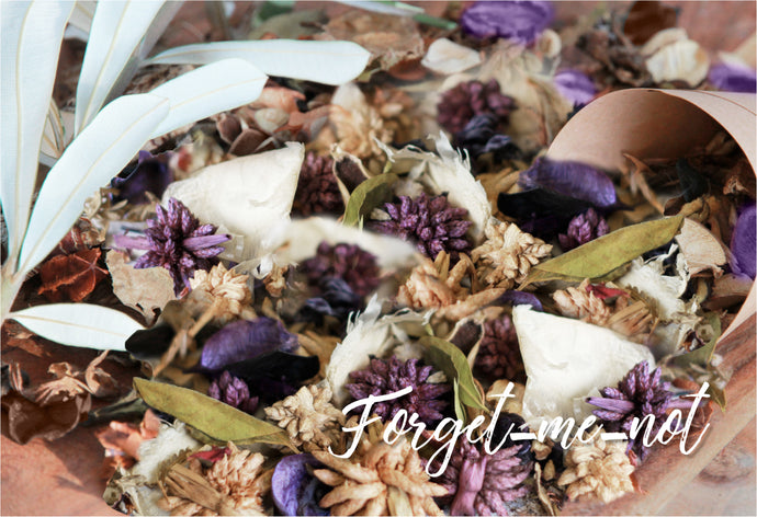 Forget-me-not blend - cones and eco-friendly flower confetti set from Kooka Paperie